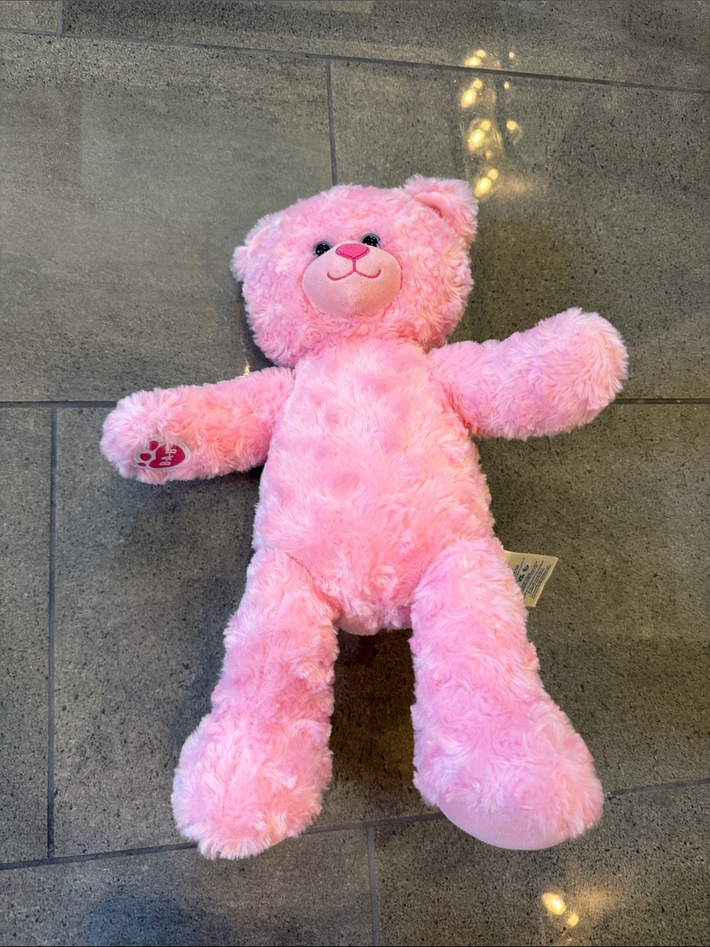 Build-A-Bear Pink Plush Teddy Bear